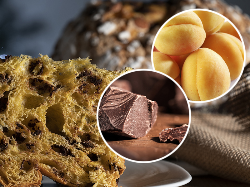 La colomba albicocca e cioccolato con lievito madre